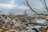 Debris in Tennessee after tornado destroyed homes.